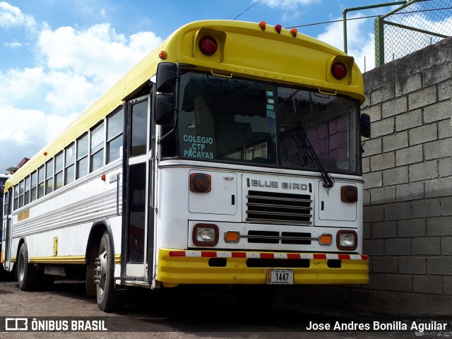 Buses Metropoli  na cidade de Brasil, por Jose Andres Bonilla Aguilar. ID da foto: 6036335.