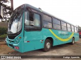 CAF Transportes 1110 na cidade de João Monlevade, Minas Gerais, Brasil, por Rodrigo  Aparecido. Número da foto: #6037949.