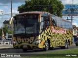 Buses Linea Azul 382 na cidade de Chillán, Ñuble, Bío-Bío, Chile, por Javier Ferrada. Número da foto: #6040008.