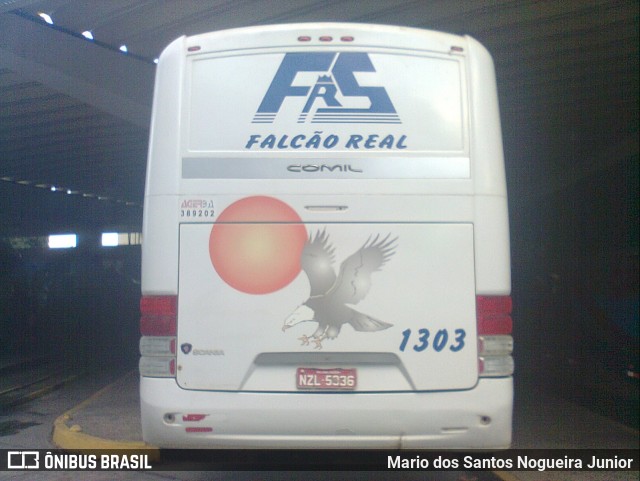 Falcão Real 1303 na cidade de Salvador, Bahia, Brasil, por Mario dos Santos Nogueira Junior. ID da foto: 6080770.