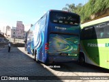 Pássaro Verde 2010 na cidade de Belo Horizonte, Minas Gerais, Brasil, por Vicente de Paulo Alves. Número da foto: #6099373.