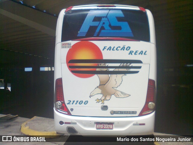 Falcão Real 21100 na cidade de Salvador, Bahia, Brasil, por Mario dos Santos Nogueira Junior. ID da foto: 6104012.