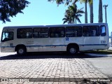 VAL - Viação Apucarana Ltda. 0118 na cidade de Apucarana, Paraná, Brasil, por Sergio Ravaneda. Número da foto: #6104684.