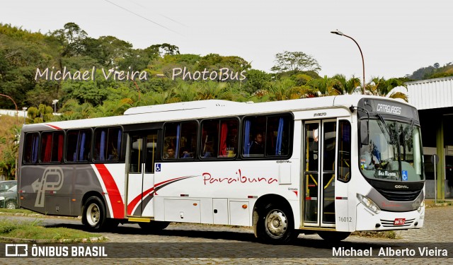 Paraibuna Transportes 16012 na cidade de Leopoldina, Minas Gerais, Brasil, por Michael  Alberto Vieira. Número da foto: #6107580.