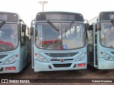 TCGL - Transportes Coletivos Grande Londrina 1101 na cidade de Londrina, Paraná, Brasil, por Gabriel Brunhara. Número da foto: #:id.