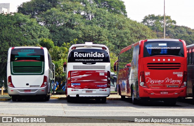 Empresa Reunidas Paulista de Transportes 145349 na cidade de São Paulo, São Paulo, Brasil, por Rudnei Aparecido da Silva. ID da foto: 6110106.