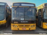 Transportes Coletivos Nossa Senhora da Piedade EP1631 na cidade de Campo Largo, Paraná, Brasil, por Diego Bianco. Número da foto: #6082648.
