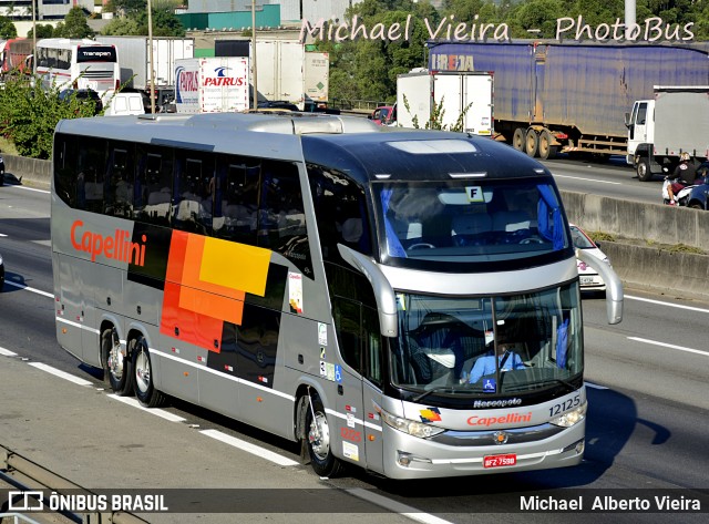 Transportes Capellini 12125 na cidade de Barueri, São Paulo, Brasil, por Michael  Alberto Vieira. Número da foto: #6114304.