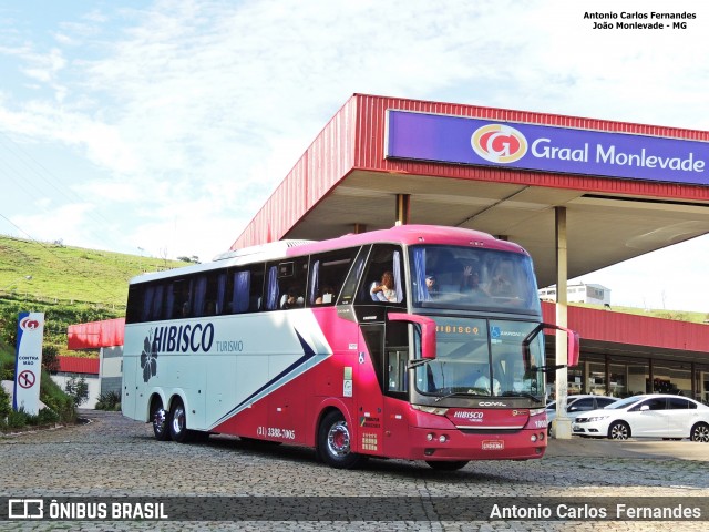 Hibisco Turismo 1000 na cidade de João Monlevade, Minas Gerais, Brasil, por Antonio Carlos Fernandes. Número da foto: #6121213.