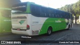 Pássaro Verde 27018 na cidade de Belo Horizonte, Minas Gerais, Brasil, por Vicente de Paulo Alves. Número da foto: #6125788.