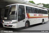 Viação Novo Horizonte 240 na cidade de Carangola, Minas Gerais, Brasil, por Paulo  Junior. Número da foto: #6124886.
