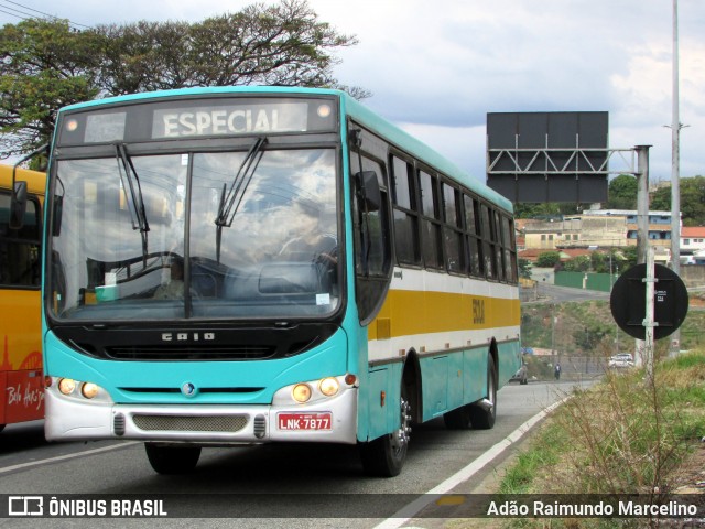 Escolares 7877 na cidade de Belo Horizonte, Minas Gerais, Brasil, por Adão Raimundo Marcelino. Número da foto: #6129732.