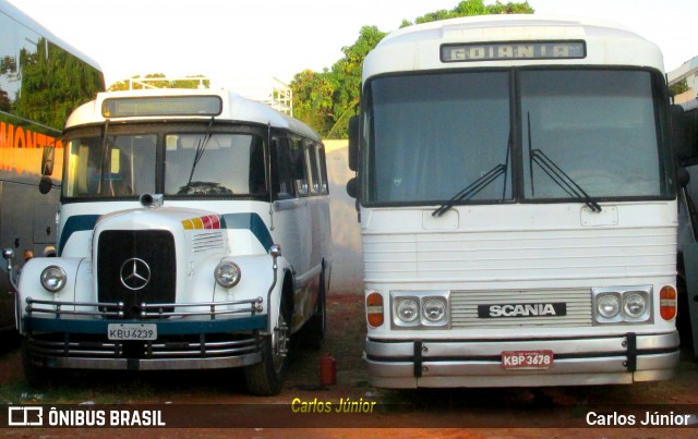 RealMaia Turismo e Cargas 8615 na cidade de Goiânia, Goiás, Brasil, por Carlos Júnior. ID da foto: 6129691.