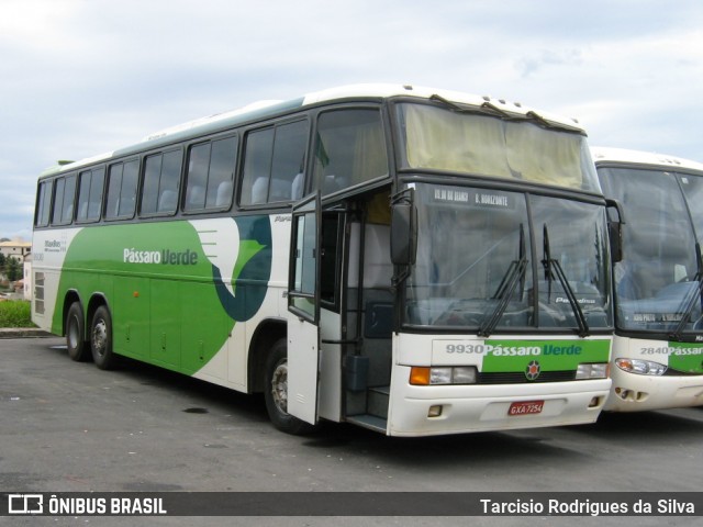 Pássaro Verde 9930 na cidade de Belo Horizonte, Minas Gerais, Brasil, por Tarcisio Rodrigues da Silva. ID da foto: 6134291.