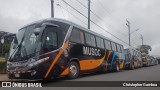Musoc  na cidade de Brasil, por Christopher Gamboa. Número da foto: #6086242.