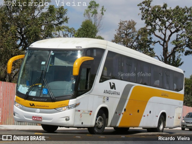 Viação Araguarina 10911 na cidade de Brasília, Distrito Federal, Brasil, por Ricardo Vieira. ID da foto: 6091006.