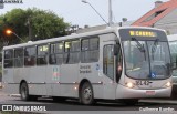 Viação Tamandaré 16L42 na cidade de Curitiba, Paraná, Brasil, por Guilherme Bomfim. Número da foto: #6095965.