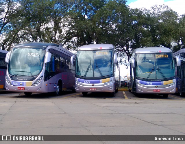 Rota Transportes Rodoviários 6275 na cidade de Itabuna, Bahia, Brasil, por Aneivan Lima. ID da foto: 6137300.