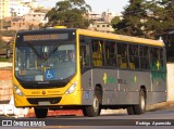 Viação Piracicabana Distrito Federal 116050 na cidade de Conselheiro Lafaiete, Minas Gerais, Brasil, por Rodrigo  Aparecido. Número da foto: #6136986.