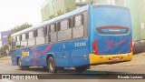 Rápido Expresso Fênix Viação 25216 na cidade de Itapira, São Paulo, Brasil, por Ricardo Luciano. Número da foto: #6154870.