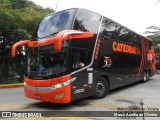 Catedral Turismo 18224 na cidade de São Paulo, São Paulo, Brasil, por Marco Aurélio de Oliveira. Número da foto: #6154574.