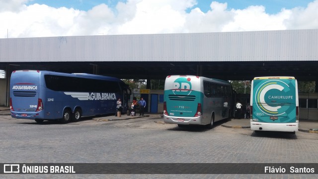 Auto Viação Camurujipe 3051 na cidade de Cruz das Almas, Bahia, Brasil, por Flávio  Santos. Número da foto: #6155115.