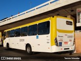 Viação Pioneira 221201 na cidade de Brasília, Distrito Federal, Brasil, por Tarcisio Schnaider. Número da foto: #:id.
