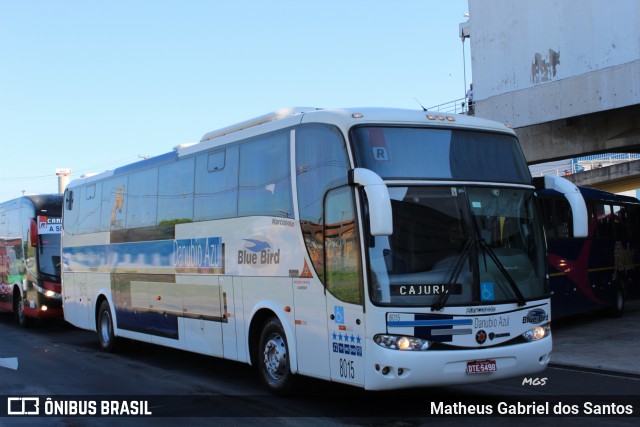 VIDA - Viação Danúbio Azul 8015 na cidade de Campinas, São Paulo, Brasil, por Matheus Gabriel dos Santos. Número da foto: #6158455.