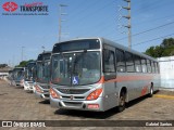 Viação São Francisco 2330 na cidade de Campo Grande, Mato Grosso do Sul, Brasil, por Gabriel Santos. Número da foto: #6158538.