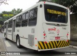 Viação Gatusa Transportes Urbanos 7 6602 na cidade de São Paulo, São Paulo, Brasil, por Carlos Júnior. Número da foto: #6160650.