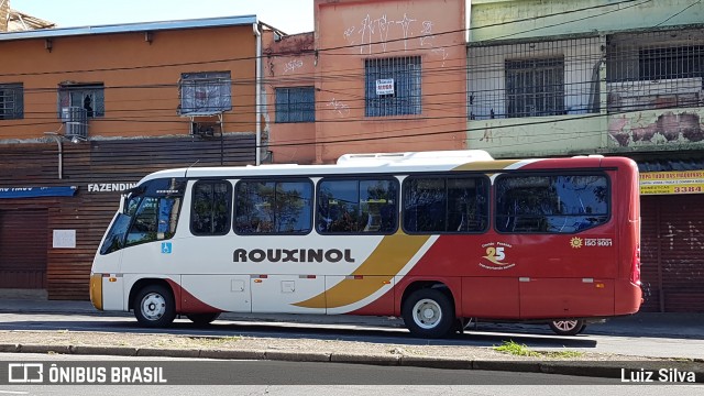 Rouxinol 135 na cidade de Belo Horizonte, Minas Gerais, Brasil, por Luiz Silva. Número da foto: #6161136.