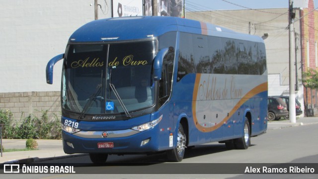 Bia Turismo > Aellos de Ouro 8219 na cidade de Holambra, São Paulo, Brasil, por Alex Ramos Ribeiro. Número da foto: #6165417.
