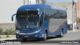 Bia Turismo > Aellos de Ouro 8219 na cidade de Holambra, São Paulo, Brasil, por Alex Ramos Ribeiro. Número da foto: #6165417.