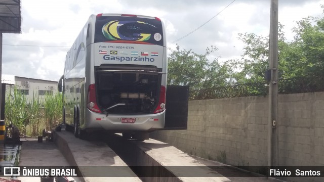 Gasparzinho Turismo 1150 na cidade de Feira de Santana, Bahia, Brasil, por Flávio  Santos. Número da foto: #6167331.