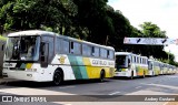 Empresa Gontijo de Transportes 11005 na cidade de Brasil, por Andrey Gustavo. Número da foto: #6172607.