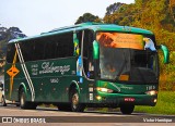 Liderança Turismo 1015 na cidade de Petrópolis, Rio de Janeiro, Brasil, por Victor Henrique. ID da foto: :id.