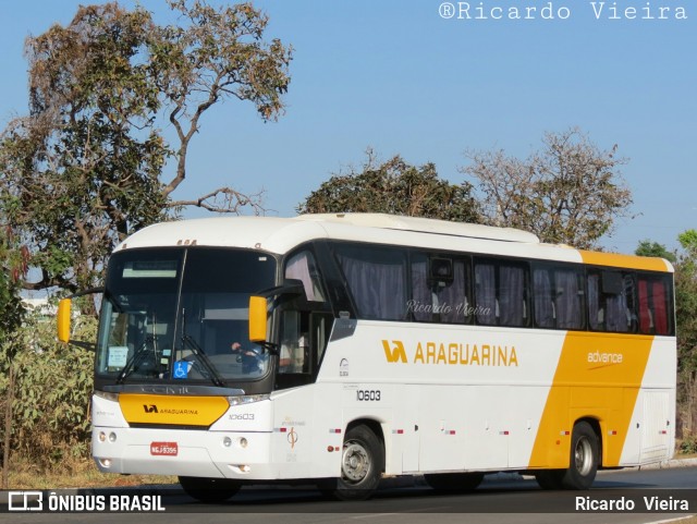 Viação Araguarina 10603 na cidade de Brasília, Distrito Federal, Brasil, por Ricardo Vieira. Número da foto: #6173233.