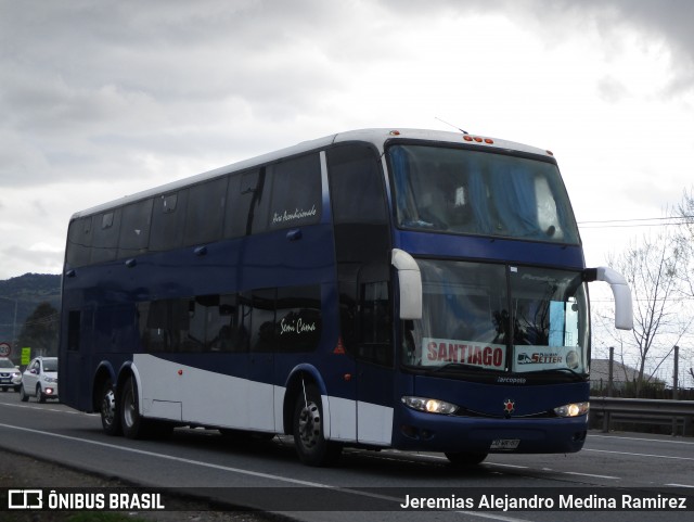 Pullman Setter  na cidade de Brasil, por Jeremias Alejandro Medina Ramirez. Número da foto: #6182612.