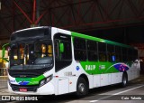 Ralip Transportes Rodoviários 3081 na cidade de Brasil, por Caio  Takeda. Número da foto: #6181591.