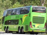 Pássaro Verde 12127 na cidade de Divinópolis, Minas Gerais, Brasil, por Pedro Henrique. Número da foto: #:id.