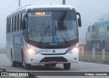 Univale Transportes 3180 na cidade de Nova Era, Minas Gerais, Brasil, por Rodrigo  Aparecido. Número da foto: #6183116.