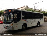 TCL - Transporte Coletivo Leo 42 na cidade de Cataguases, Minas Gerais, Brasil, por Jose Evangelista Alves. Número da foto: #:id.