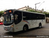 TCL - Transporte Coletivo Leo 42 na cidade de Cataguases, Minas Gerais, Brasil, por Jose Evangelista Alves. ID da foto: :id.