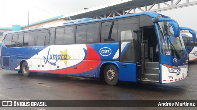 Lumaca C-187 na cidade de Costa Rica, Mato Grosso do Sul, Brasil, por Andrés Martínez Rodríguez. Número da foto: #6186548.