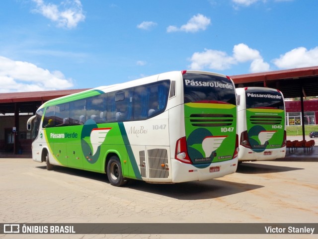 Pássaro Verde 1047 na cidade de Ouro Preto, Minas Gerais, Brasil, por Victor Stanley. Número da foto: #6190058.