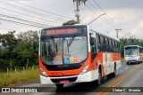 Julio Simões > CS Brasil - JSL W391 na cidade de Suzano, São Paulo, Brasil, por Cleber C.  Moreira. Número da foto: #6190076.