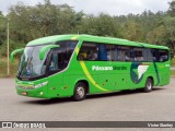 Pássaro Verde 1046 na cidade de Mariana, Minas Gerais, Brasil, por Victor Stanley. Número da foto: #6190053.