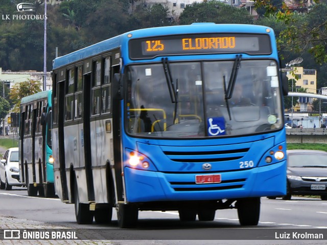 ANSAL - Auto Nossa Senhora de Aparecida 250 na cidade de Juiz de Fora, Minas Gerais, Brasil, por Luiz Krolman. ID da foto: 6140314.