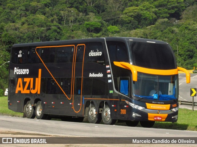 Pássaro Azul 2100 na cidade de Rio Bonito, Rio de Janeiro, Brasil, por Marcelo Candido de Oliveira. Número da foto: #6192064.