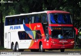 Pluma Conforto e Turismo 7014 na cidade de São Paulo, São Paulo, Brasil, por César Ônibus. Número da foto: #6191211.